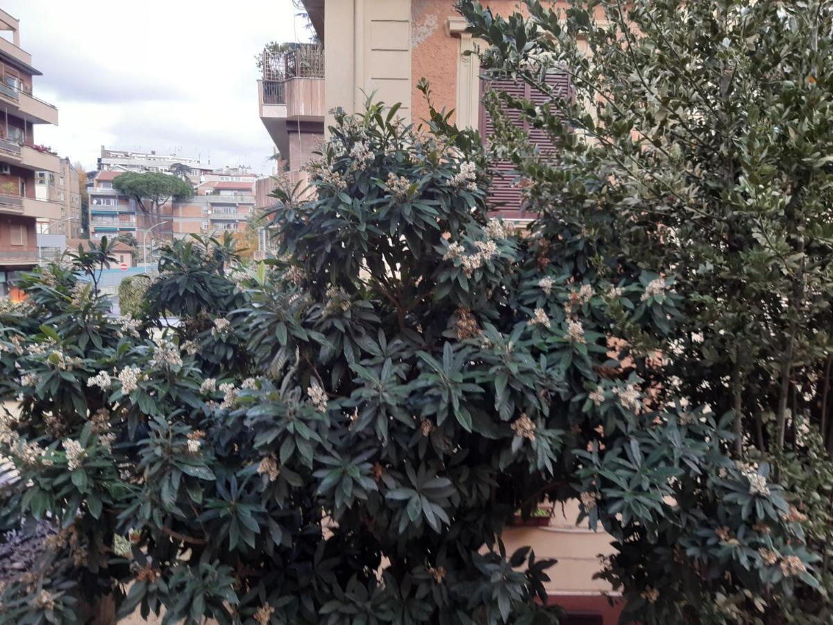 Smart Suite Rome Bagian luar foto